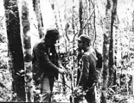 Fidel y Che en la Sierra, cuyas malezas serv�an de refugio acontra la aviacion
