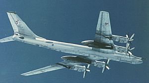 Tu-95 Bear